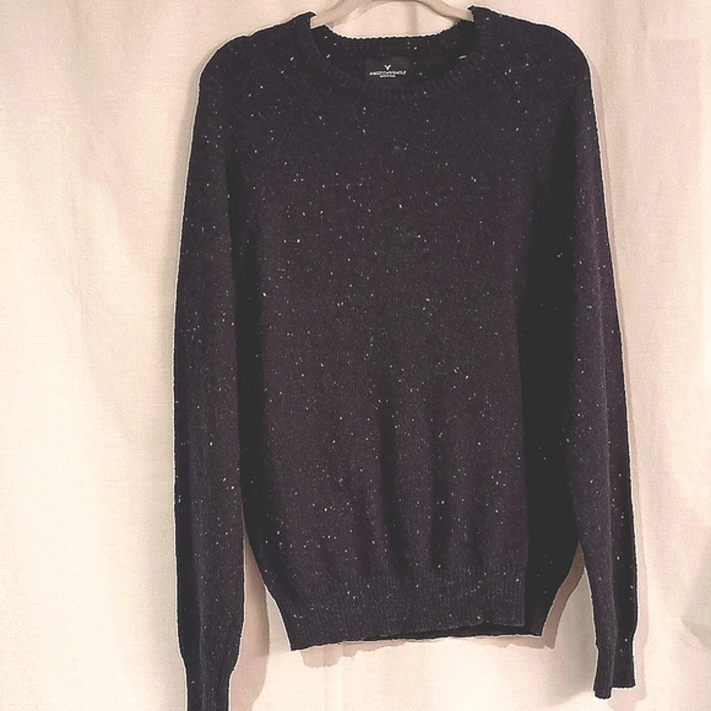 American Eagle Men's Cotton, Acrylic,Wool, Silk Blend Navy Crew Neck Sweater